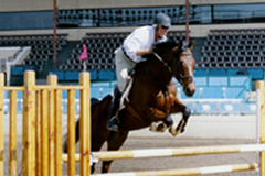 Dennis Ruff Back Rider Index of /Site/recimages